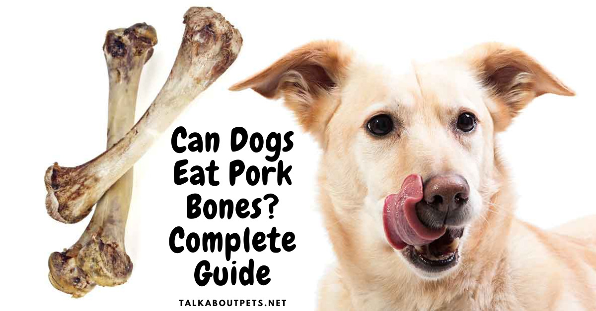 Can Dogs Eat Pork Bones