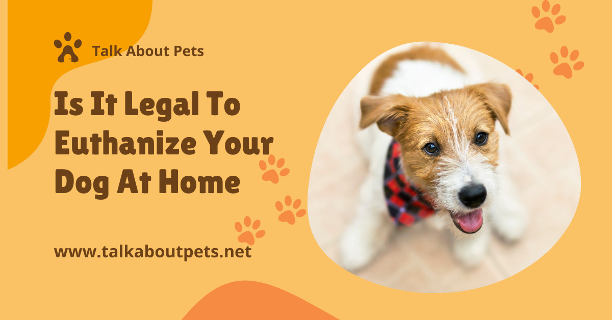 Is It Legal To Euthanize Your Dog At Home