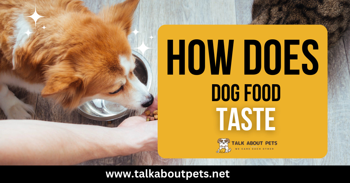Dog Food Taste