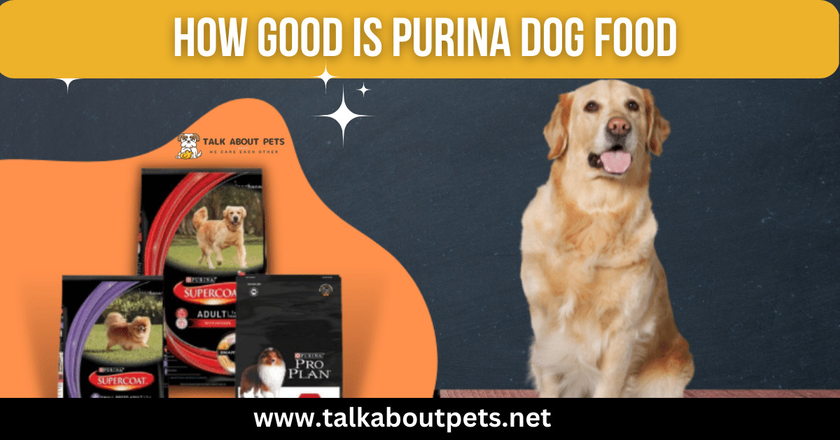 How Good Is Purina Dog Food