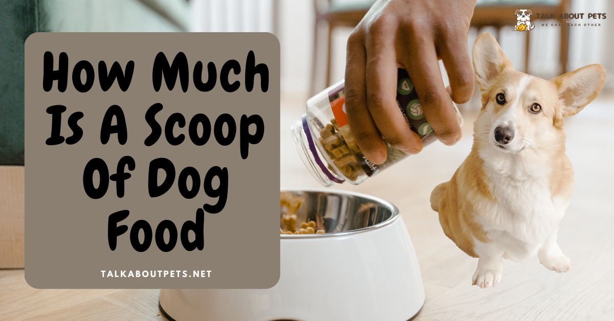 Scoop Of Dog Food
