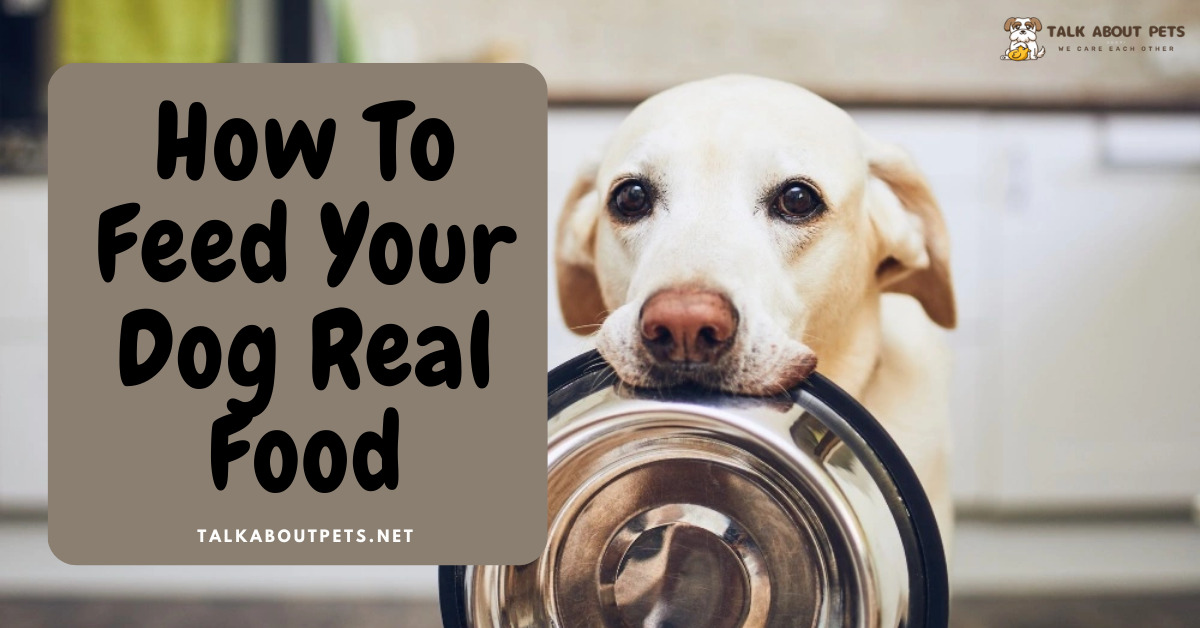 Feed Your Dog Real Food