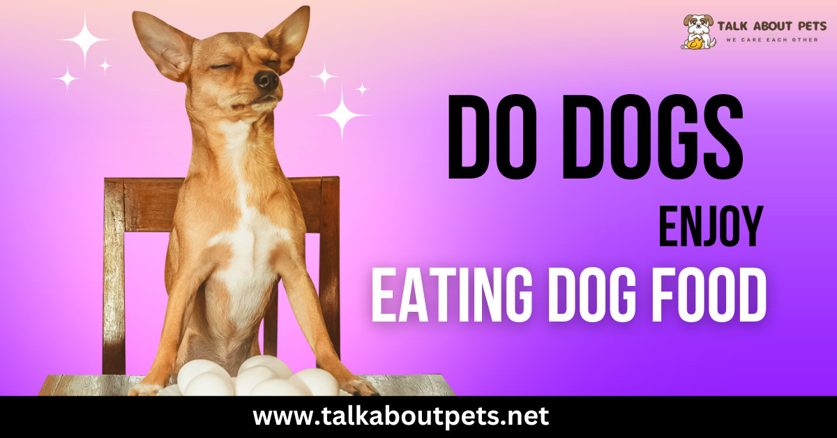 Dogs Enjoy Eating Dog Food