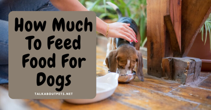 Feed Food For Dogs
