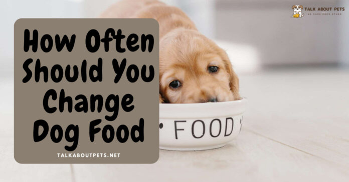 Change Dog Food